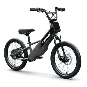 Kawasaki Elektrode 20 FS